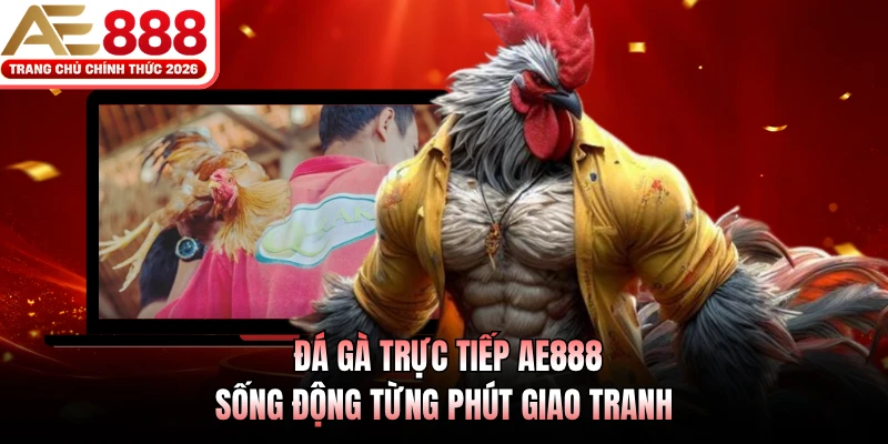 Đá Gà Trực Tiếp AE888 - Sống Động Từng Phút Giao Tranh 1 da ga truc tiep ae888 song dong tung phut giao tranh