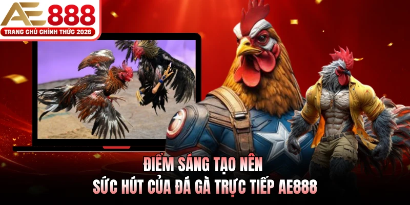 Đá Gà Trực Tiếp AE888 - Sống Động Từng Phút Giao Tranh 2 Điểm sáng tạo nên sức hút của đá gà trực tiếp AE888